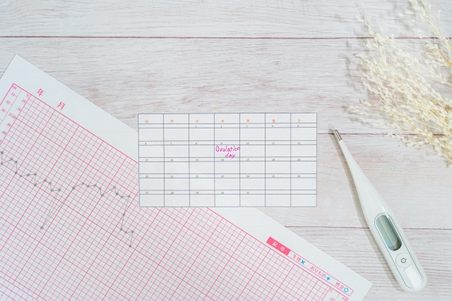 妊活の期間は個人差がある？平均年齢の違いと妊娠率を上げる方法｜明生鍼灸院