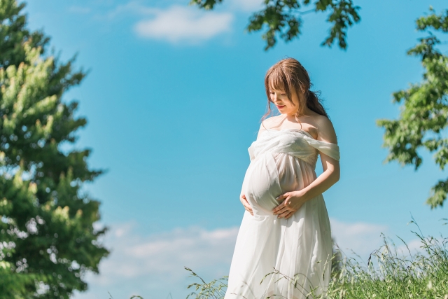 妊娠に必要な栄養素を手軽に摂取！妊活サプリの役目｜名古屋の妊活・不妊治療・不妊鍼灸専門｜明生鍼灸院