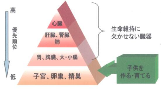 妊活中の温活は夏にこそ必要?温活のメリットや効果的なやり方|明生鍼灸院
