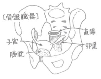 妊活中にお灸で冷え対策?鍼とお灸の違いや施術内容などご紹介|明生鍼灸院